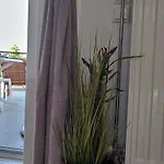Althea Dream Summer House